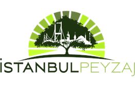 stanbul Peyzaj