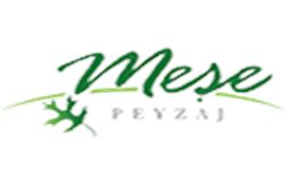 Mee Peyzaj