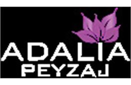 Adalia Peyzaj