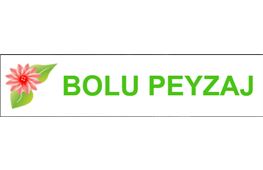 Bolu Peyzaj
