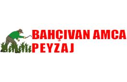 Bahvan Amca Peyzaj