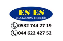 Eses Uluslararas iekilik