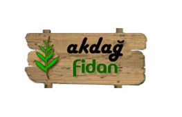 Akda Fidan Peyzaj ve Bahe 