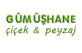 Gmhane iek Peyzaj