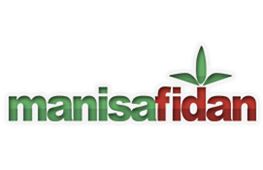 Manisa Fidan