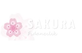 Sakura Fidanclk