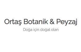 Orta Peyzaj